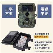 �u�g���C���h�ƃJ���� AUTMTSHNA�v