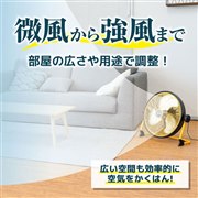 �uDC���[�^�[40cm��^��@ C-RDF19Y�v