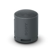 SRS-XB100