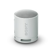 SRS-XB100