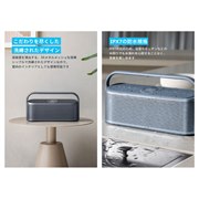 Soundcore Motion X600