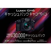 uLUMIX GH6LbVobNLy[v