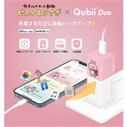 Qubii Duo �J�i�w�C�̏������R���{���f��