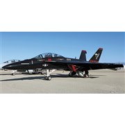 戦闘機　模型　F-18   ホーネット 全長約25.3センチ、1/72スケールの「F/A-18E スーパーホーネット