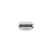 USB-C - Lightning�A�_�v�^
