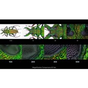 �uAurogon�i�I���S���j�V���[�Y�v