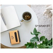uSP]WM01BTv