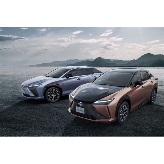 レクサス 傘 2本セット （レクサス LEXUS 傘 2本組 結びつい）