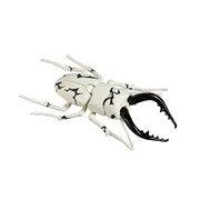 ���R����2201 �E���g�����b�� �N���K�^���V �G���L���O�d�l