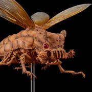 �u�^�P�������ݒu�� ���̒J�̃i�E�V�J �E�V�A�u ����R�~�b�N�X�J���[Ver.�v