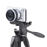 �u200-DGCAM038�v