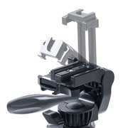 �u200-DGCAM038�v