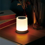 �u���C�����X�����^���X�s�[�J�[ SP-030�v