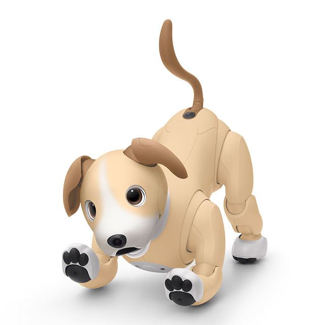 ソニー、「aibo」の2024年カラー「きなこ エディション」 - 価格.com