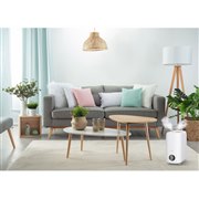 �u�X�`�[�� �A���h �~�X�gL 8L HD6080J0�v