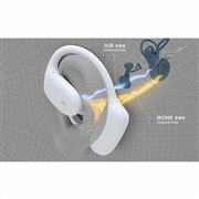 �uBeethoven�i�x�[�g�[���F���j�v