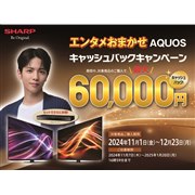 画面サイズ:46V型(インチ) シャープ AQUOS(アクオス)の液晶テレビ・有機ELテレビ 比較 2024年人気売れ筋ランキング - 価格.com