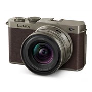 パナソニック LUMIX DC-S9N 広角ズームレンズキット 価格比較
