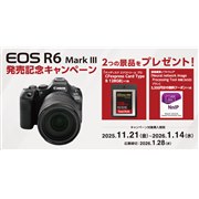uLm EOS R6 Mark IIILOLy[v