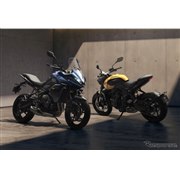 �g���C�A���t �^�C�K�[�X�|�[�c660�i���j�ƃg���C�f���g660�i�E�j