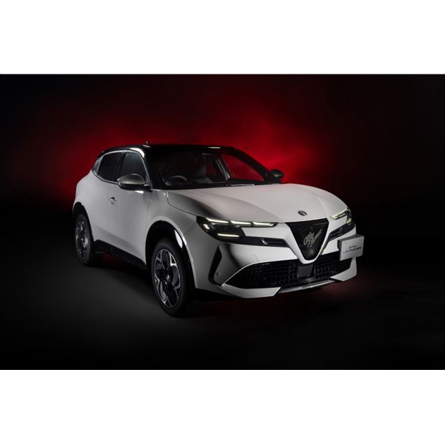 �X�e�����e�B�X �W���p����2026�N2��26���A�u�A���t�@�E�����I�E�W���j�A�v�ɓ��ʎd�l�ԁu�G�f�B�c�B�I�[�l...