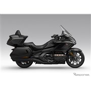 �z���_ �S�[���h�E�C���O �c�A�[�i�K�����^���u���b�N���^���b�N�j