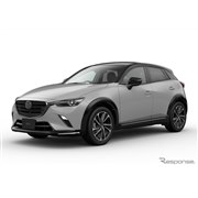 2�����Ő��Y�I�������}�c�_ CX-3�iXD Vivid Monotone II�j