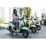 ���}�n Fazzio�i�t�@�c�B�I�j