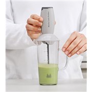 �u�������e�t���[�T�[ MLF-35�v