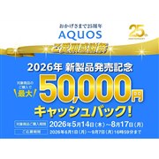 �uAQUOS�L���b�V���o�b�N�L�����y�[���v