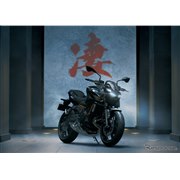 �J���T�L Z650 S