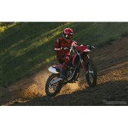 �h�D�J�e�B �f�X��250 MX