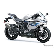 �J���T�L Ninja ZX-4R SE