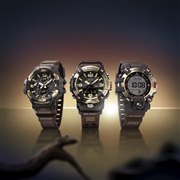 �uMASTER IN HORIZON GOLD�v