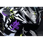 �X�Y�L Hayabusa Tuned by JURI