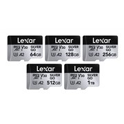 �uLexar Professional SILVER GO microSDXC UHS-I Card�v