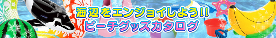 �C�ӂ��G���W���C���悤!! �r�[�`�O�b�Y���W