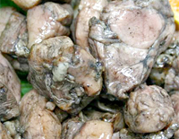 鹿児島 薩摩地鶏を検索する