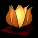 ���[�^�X�����v�̎ʐ^