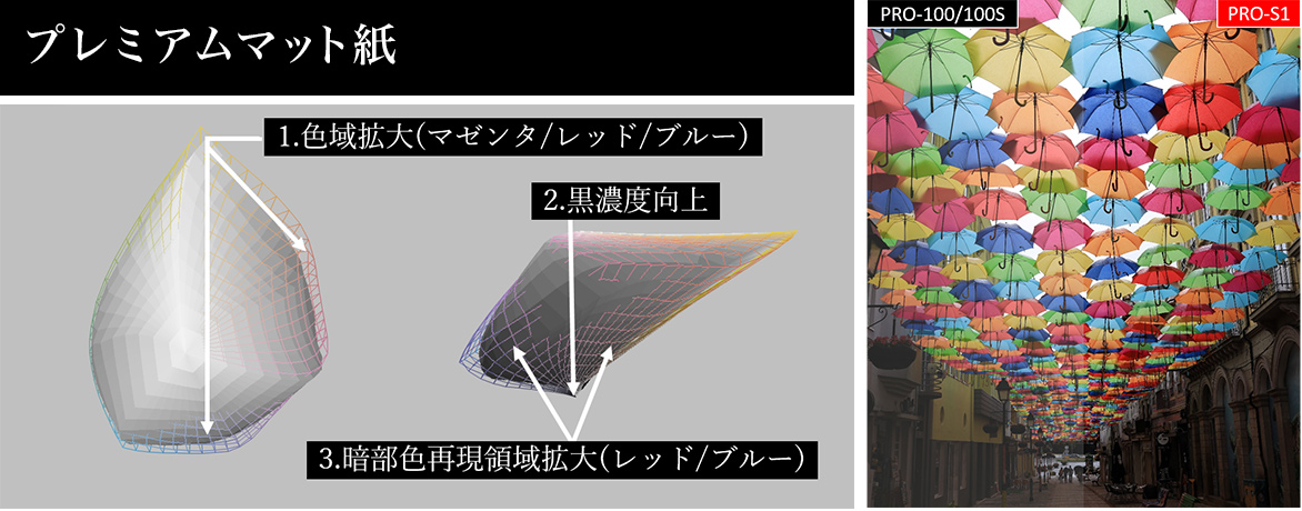 クリアランス pro-100 プレミアムマット