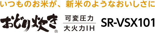pi\jbNuǂ萆 SR-VSX101v