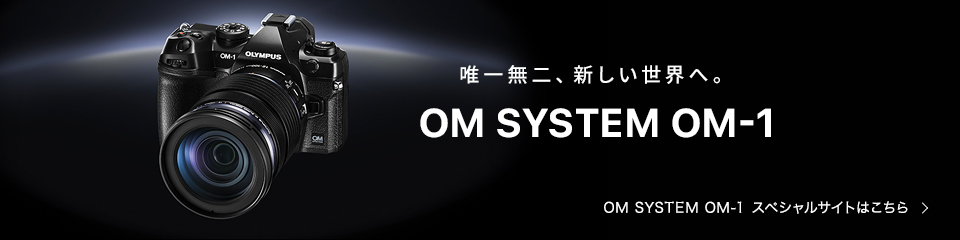 スペシャルサイト