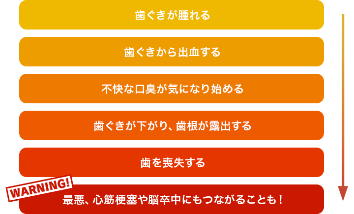 �J���e�N�g �v���~�A�� �������P�A