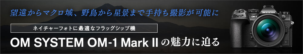lC`[tHgɍœKȁuOM SYSTEM OM-1 Mark IIv̖͂ɔ