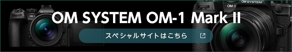 uOM SYSTEM OM-1 Mark IIvXyVTCg͂