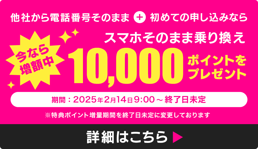 ���Ђ���d�b�ԍ����̂܂܁{���߂Ă̐\�����݂Ȃ�X�}�z���̂܂܂ŏ�芷���A10,000�|�C���g���v���[���g�I