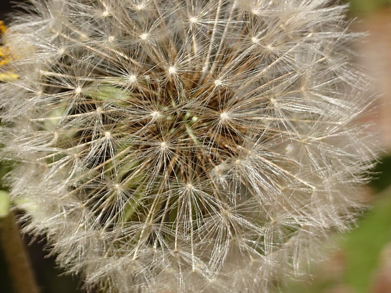 Xperia 1 VII