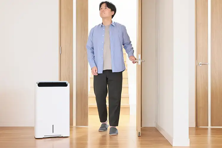 空間清浄機エア美人(ミズイロ)西日本60Hz 空間清浄機エア美人(ミズイロ)西日本60Hz 【公式通販】