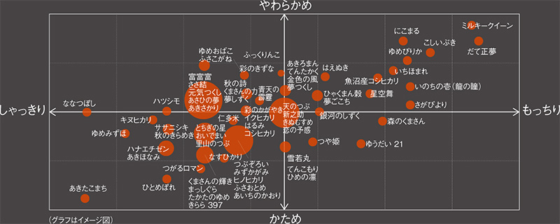 土鍋ご泡火炊き JRX-S100