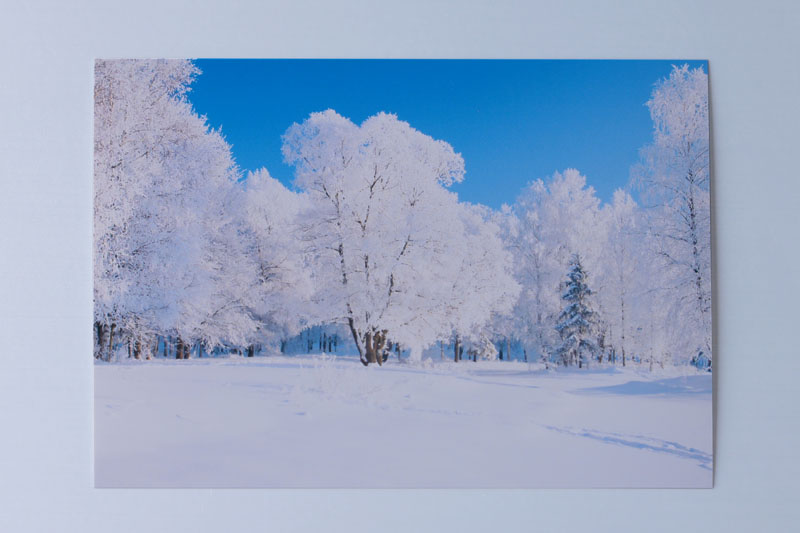 キヤノン「PIXUS XK510」